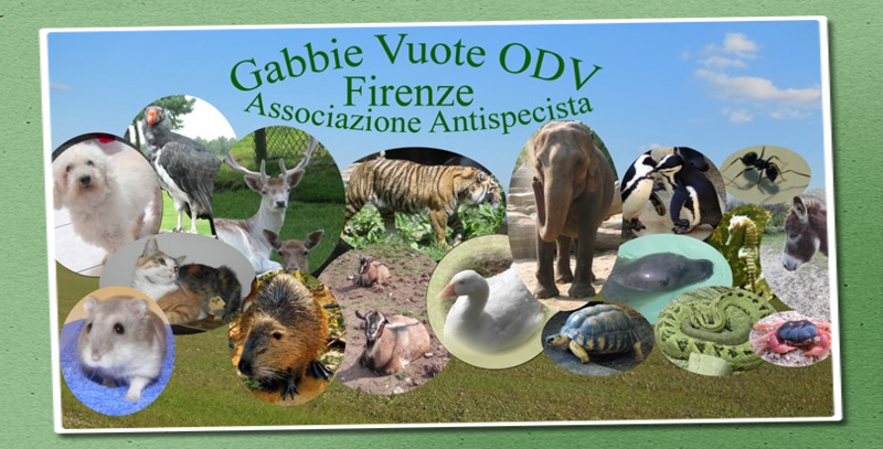 Possiamo dire che, dopo il logo, è l'immagine principale di Gabbie Vuote ODV. Su uno sfondo di campagna e di cielo ci sono 18 immagini di animali di terra, cielo e acqua.
