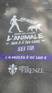 Foto del messaggio  del Comune di Firenze: ANIMALE! Quando non la raccogli l’ANIMALE non è il tuo cane, SEI TU! La multa è di 160 euro.